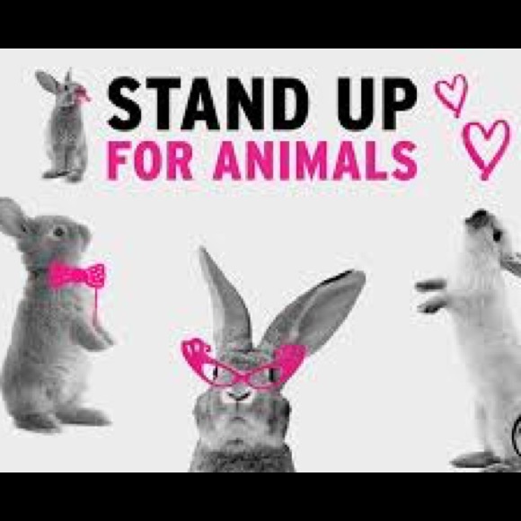 Meet your Posher, Jaye - Picture 7 of 8